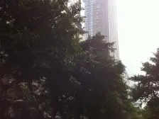 洪崖洞旁看江三房,正看江北嘴大剧院,视野开阔