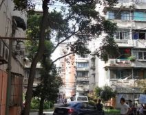 玉屏南路39号3室0厅南北