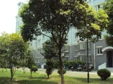 交通便利,近商圈,诚意出售,刚需好房