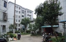 龙华·华龙新苑·2室·1厅