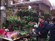 大同巷 1室1厅 东南