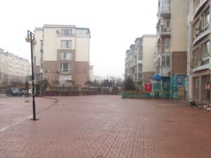 锦城东园2室1厅南北