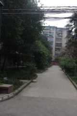 红光小区(成华)2室1厅东南