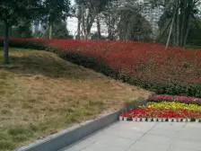 袁家岗轻轨地铁站 精装修 自由左岸