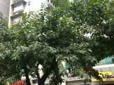 李子坝 嘉韵山水城一房38万