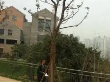 雍江苑 3室1厅 东北