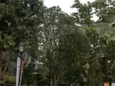 雍江苑正规精装三房,朝中庭,户型方正,诚信出售