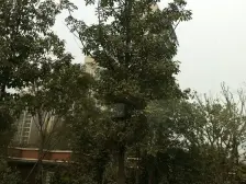 雍江苑 3室1厅 东北