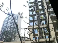 重庆天地次新小区纯中庭安静宜居轻轨9号线