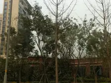 重庆天地 翡翠天麓 精装两房 安静朝山