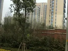 渝中区湖景 江景 万科精装修三房