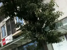 一览嘉陵江无限美景,两室视野开阔。