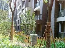 装修清爽干净,业主诚心出售,星光,采光好