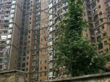 依山傍水精装两室一厅,拎包入住,近轻轨站