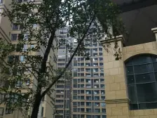 美丽山水带露台2房,朝中庭看江,住家安静