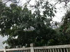 沙滨路 羊角堡小区二房45万