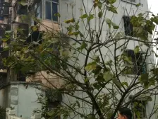 羊角堡小区 3室1厅 东南