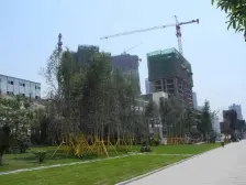 龙洲湾 公园旁 装修3房 家具家电齐全 人车分流小区