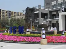 龙洲湾 康利尔风花树二房53万