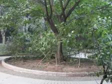 人民东路 人民东路三房25万