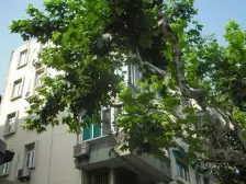 内环边+带院子+有车库+高绿化+别墅为邻+徐汇滨江区