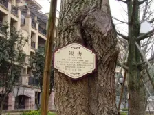 李家沱 融汇半岛香缇漫山四房