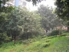 品质小区,正规大两房朝中庭 ,住家安静,交通方便