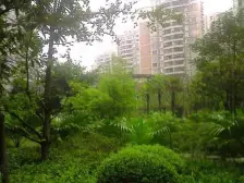 回龙湾 3室1厅 南 西北