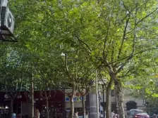 老城区 碚峡西路二房26.7万