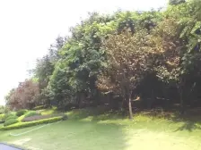 冉家坝品质大盘龙湖紫都城,精装3房