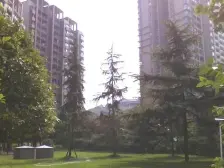 冉家坝 龙湖紫都城二房