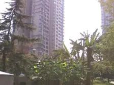 冉家坝 龙湖紫都城四房200万