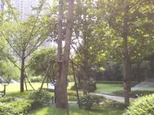 拎包入住大四房,每个房间看出去大中庭