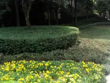 冉家坝 龙湖紫都城四房200万