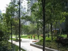 龙湖品质纯洋房别墅小区总高6层小洋房正三房双卫