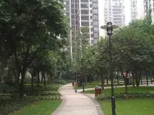 有车位 看江看桥大阳台龙湖品质四居 龙湖口碑物业