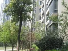 龙湖山前 3室2厅 南 北