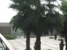 光电路 龙湖观山水四房