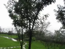 精装看江四房,拎包入住,16平大阳台