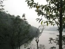 水天花园 1室1厅 南