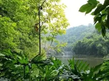 童家溪 水天花园四房102万