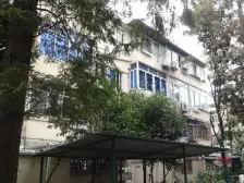 很少出大户型 南北三房 窗多全明 附送10平方