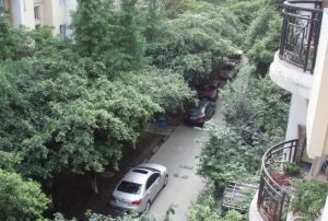 齐力花园3室1厅南北