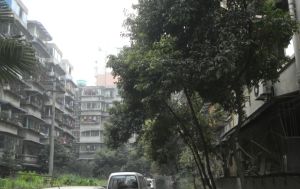 双清南路4号2室1厅南北