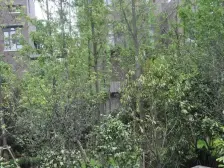 中Y公园北区,次新小区,联排别墅+60平花园