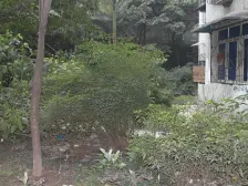 洗墨路 果品办(洗墨路)三房34.4万