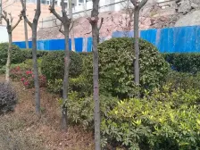 人民广场 清华苑二期三房