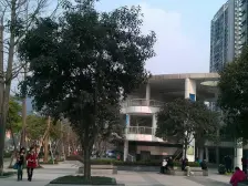 鱼洞 南城国际二房40万