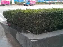 鱼洞 南城国际三房53.6万