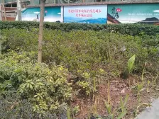 刚需精装2房门口就是轻轨站和菜市